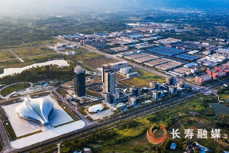 乘“数”而上！长寿先进制造业抢抓“智”高点 信息技术咨询服务