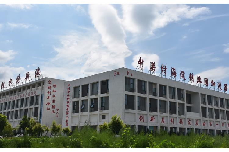 刘志伟,公司经营范围包括:信息技术咨询服务等.